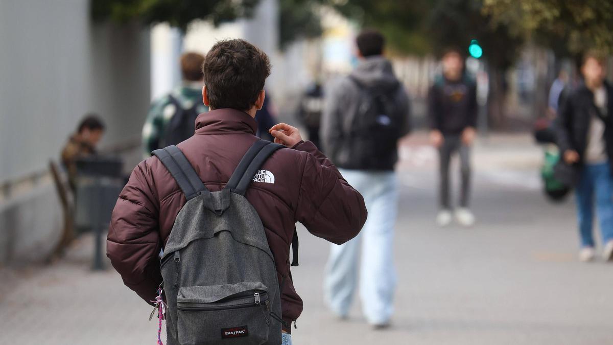 Un alumno de la UV en el campus de Tarongers de la UV.