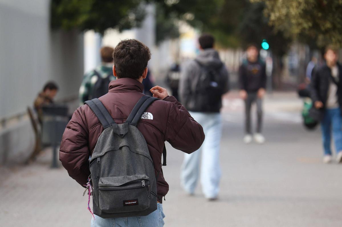 Un alumno de la UV en el campus de Tarongers de la UV.