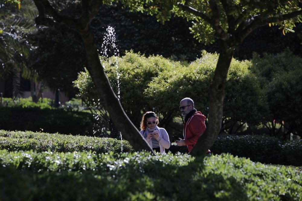 Primer día de apertura de los jardines de Marivent