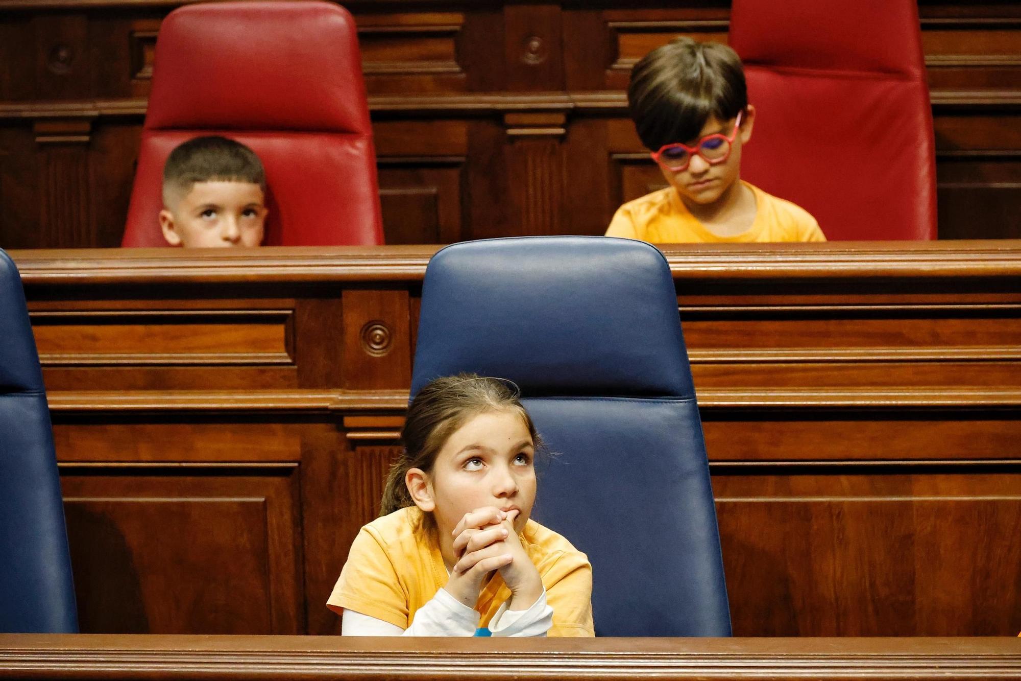Escolares en el Parlamento de Canarias