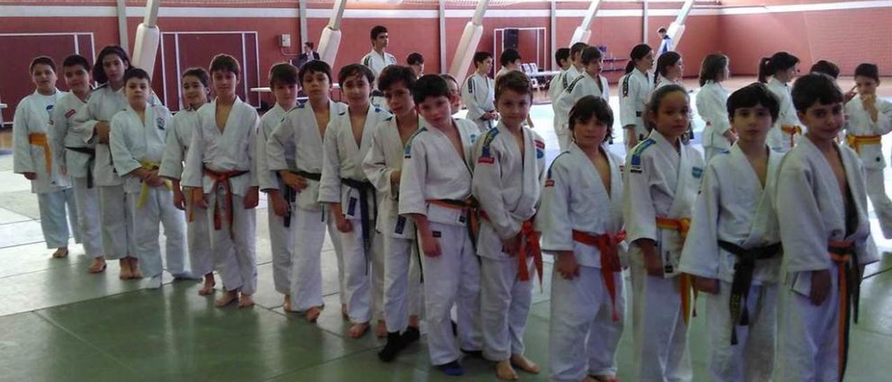 Los alevines del Judo Sanfer.