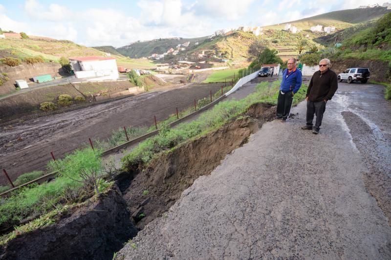 Rescatado de la granja de vacas a las tres de la mañana