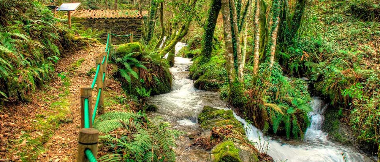 Entorno del río Abellereira