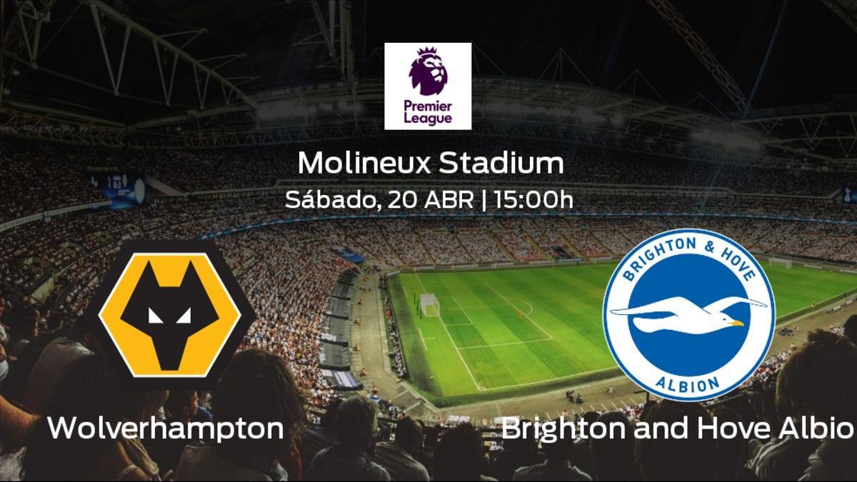 Previa del enfrentamiento de la jornada 35: Wolverhampton Wanderers contra Brighton and Hove Albion