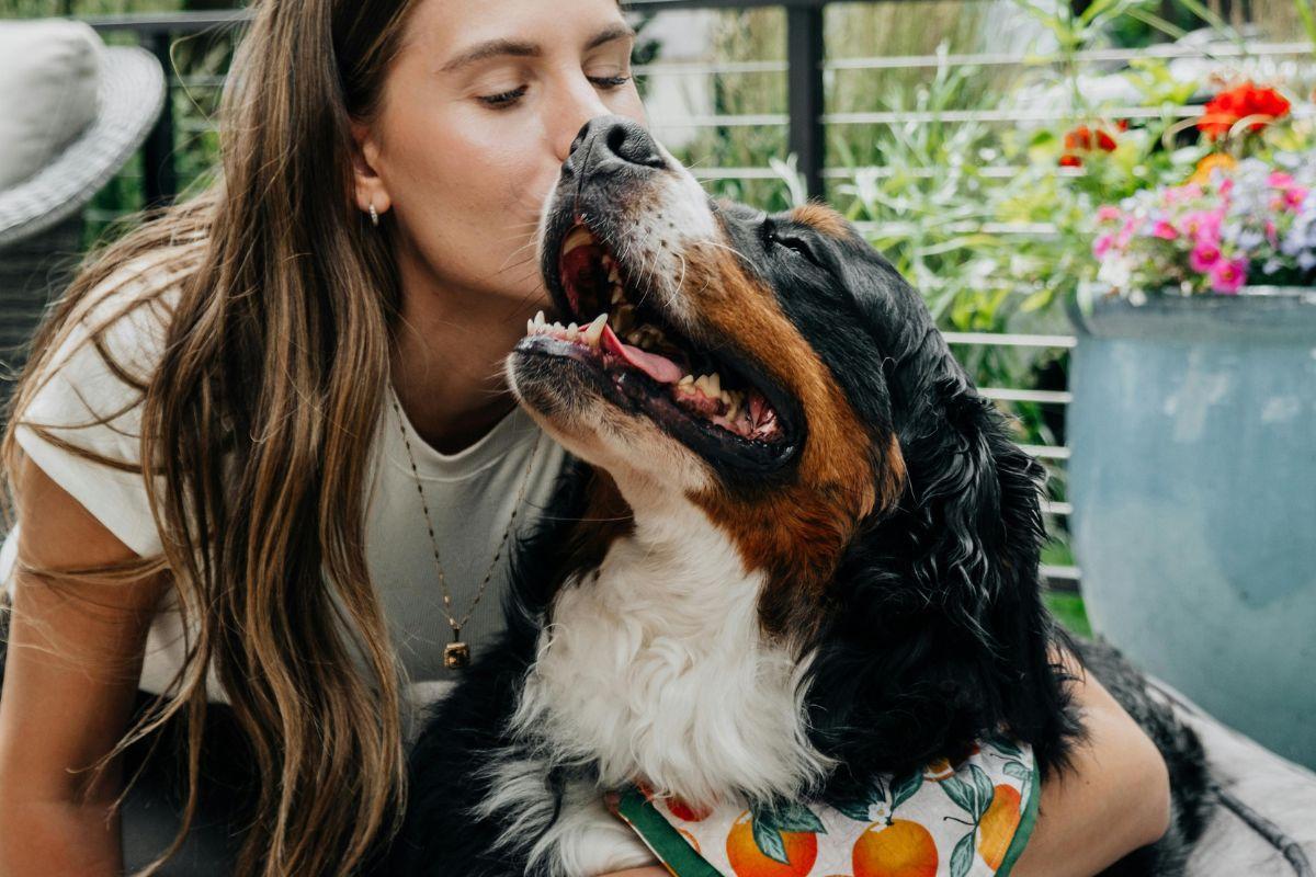 ¿Qué tiene este pienso para perros con casi 9.000 valoraciones para ser el favorito de los usuarios?