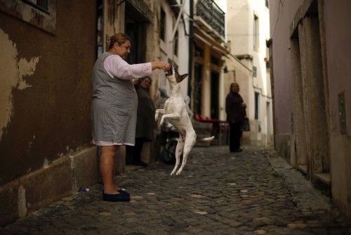 Una mujer muestra las habilidades de su perro a sus vecinos en Lisboa