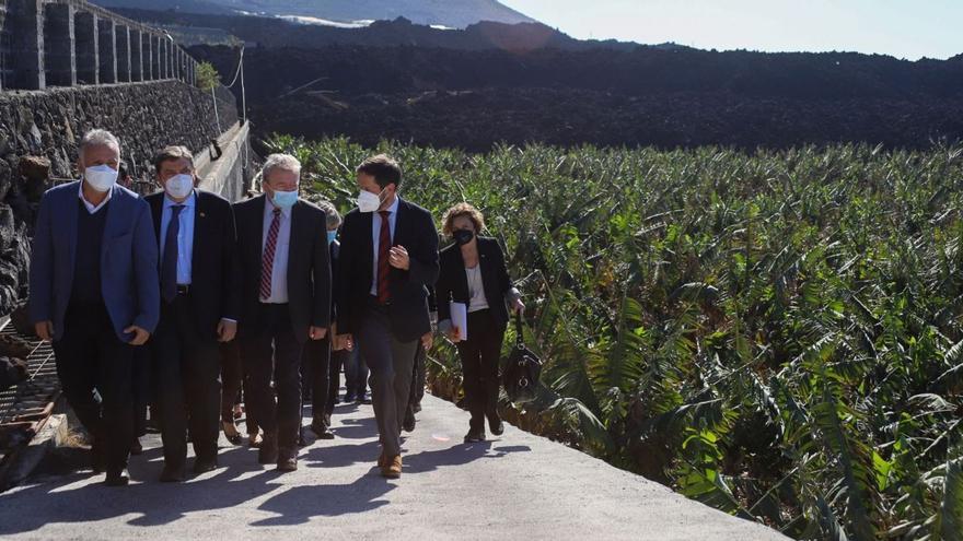 La UE avala la reconstrucción agrícola