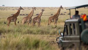 Siguiendo la huella Masai por Kenia, el país más alucinante de África