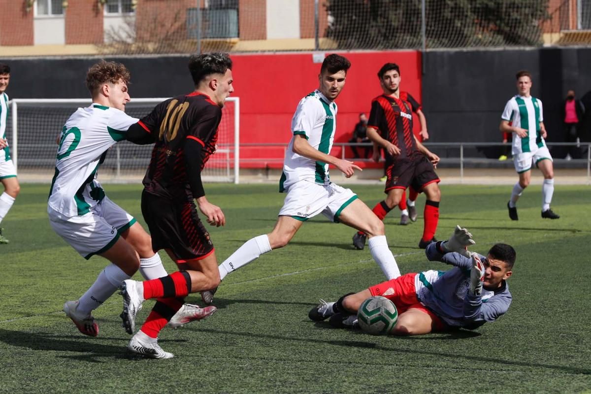 Séneca-Córdoba. Derbi de la División de Honor Juvenil.