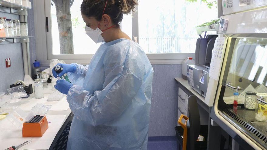 Monkeypox exceeds 130 positives in the Canary Islands