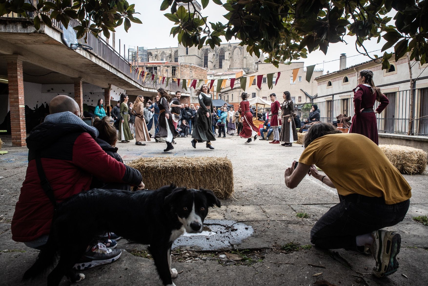 Totes les fotos de la Fira de l'Aixada 2023