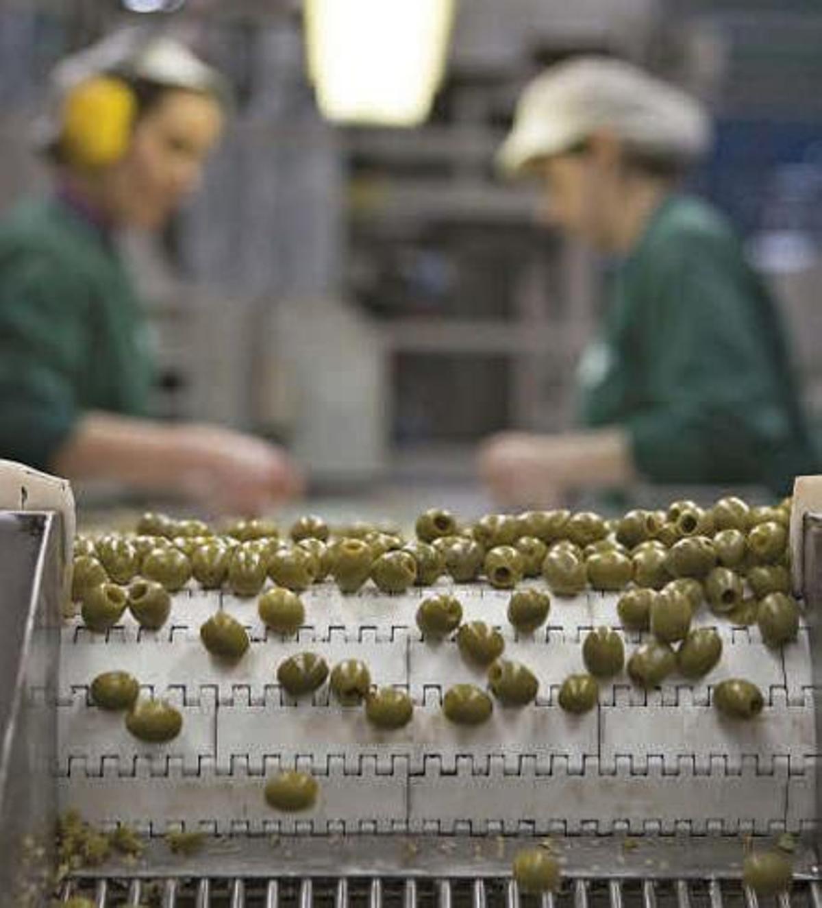 Imagen de una empresa dedicada a la aceituna para mesa.