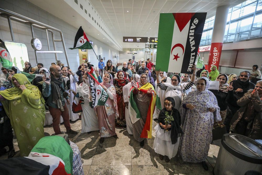 Vuelven los cooperantes del Sáhara Occidental