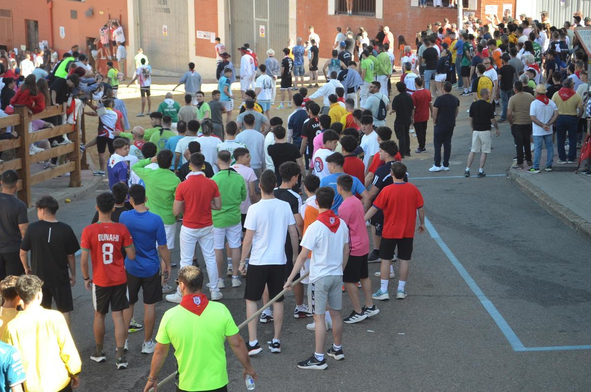 La carrera del Torito del Alba "Ganadora", de Benavente, en imágenes