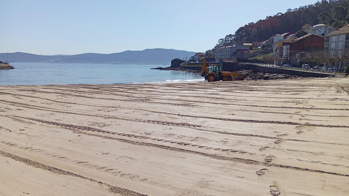 Traballos de limpeza nun areal de Muros.