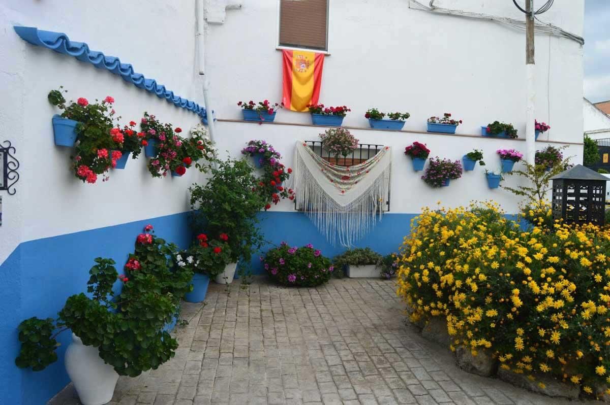 Las 'Calles en flor' de Cañete de las Torres