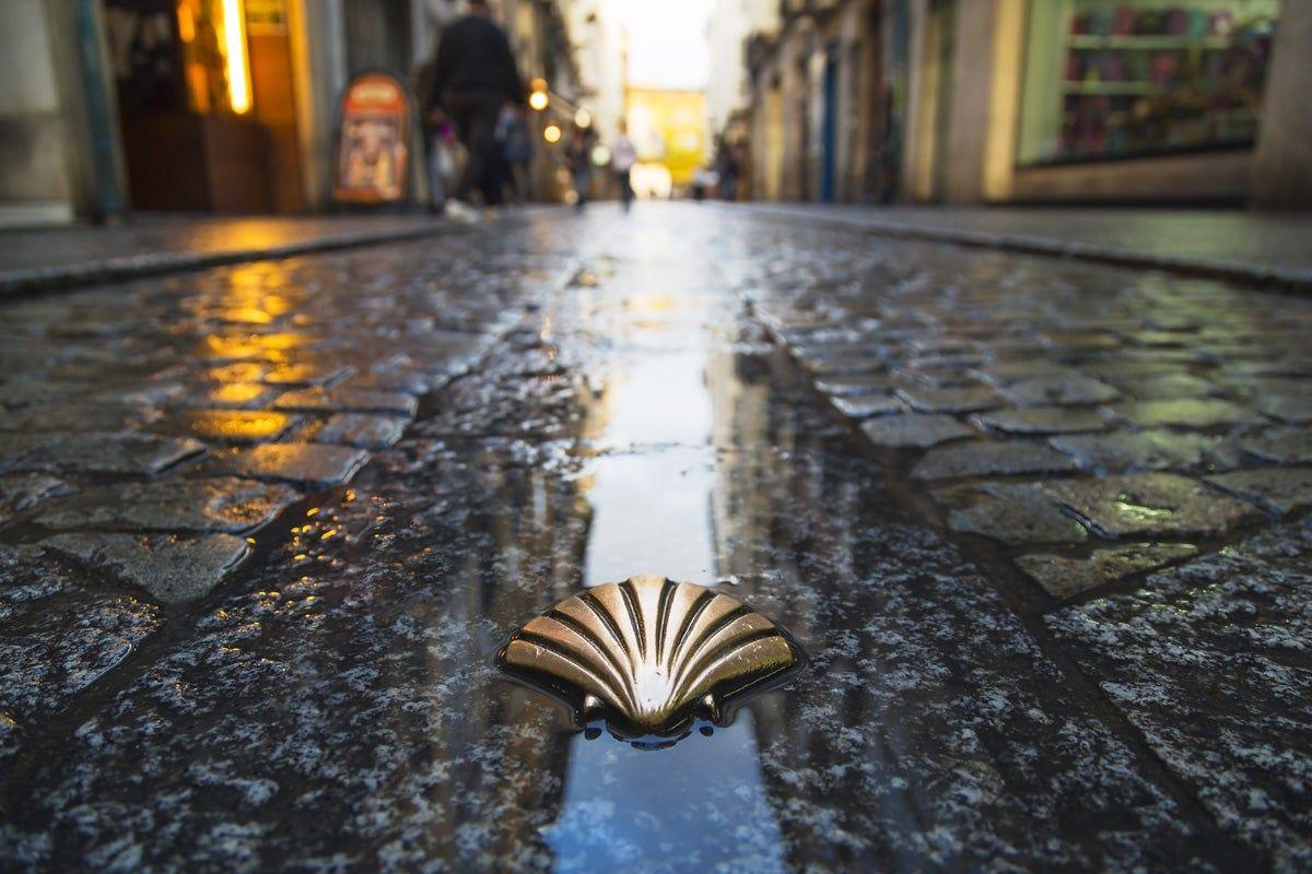 La vieira dirige al peregrino a Santiago de Compostela