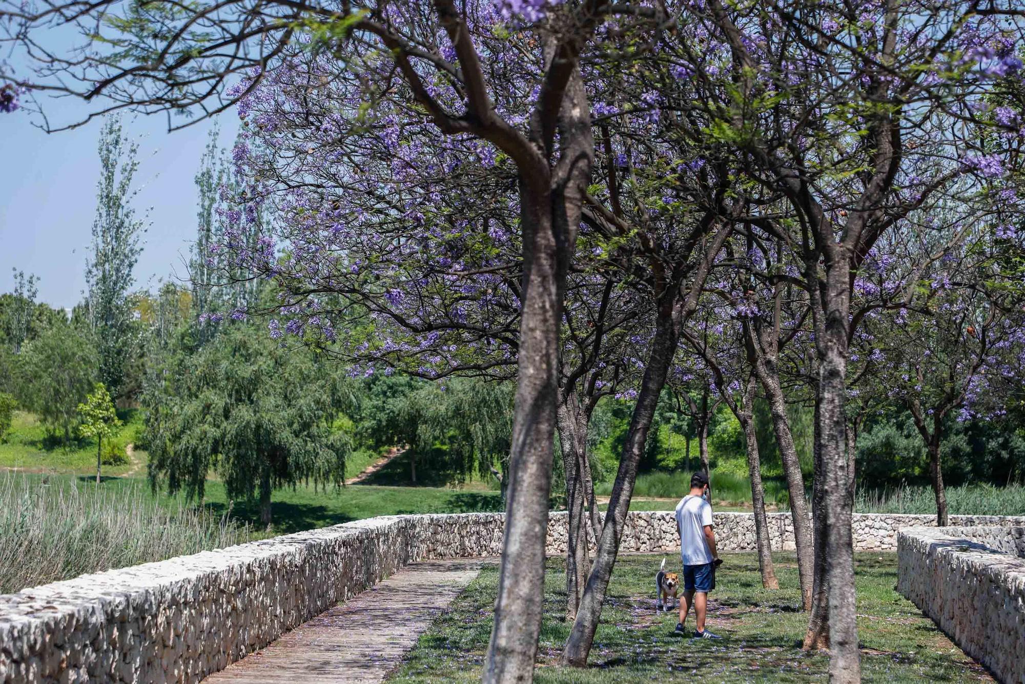 Parque de Cabecera, uno de los pulmones de València