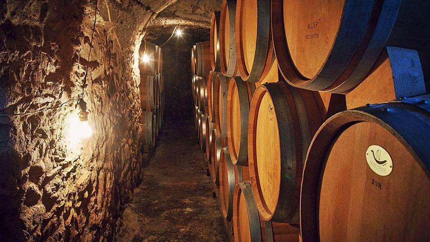 La sala de botes del celler de Sant Climent Sescebes.