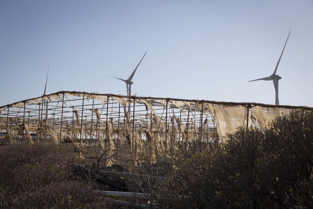 Fotos de invernaderos abandonados en el Sur de ...