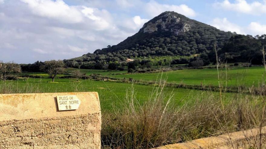 Aigua de juny primerenca, molts mals arrenca