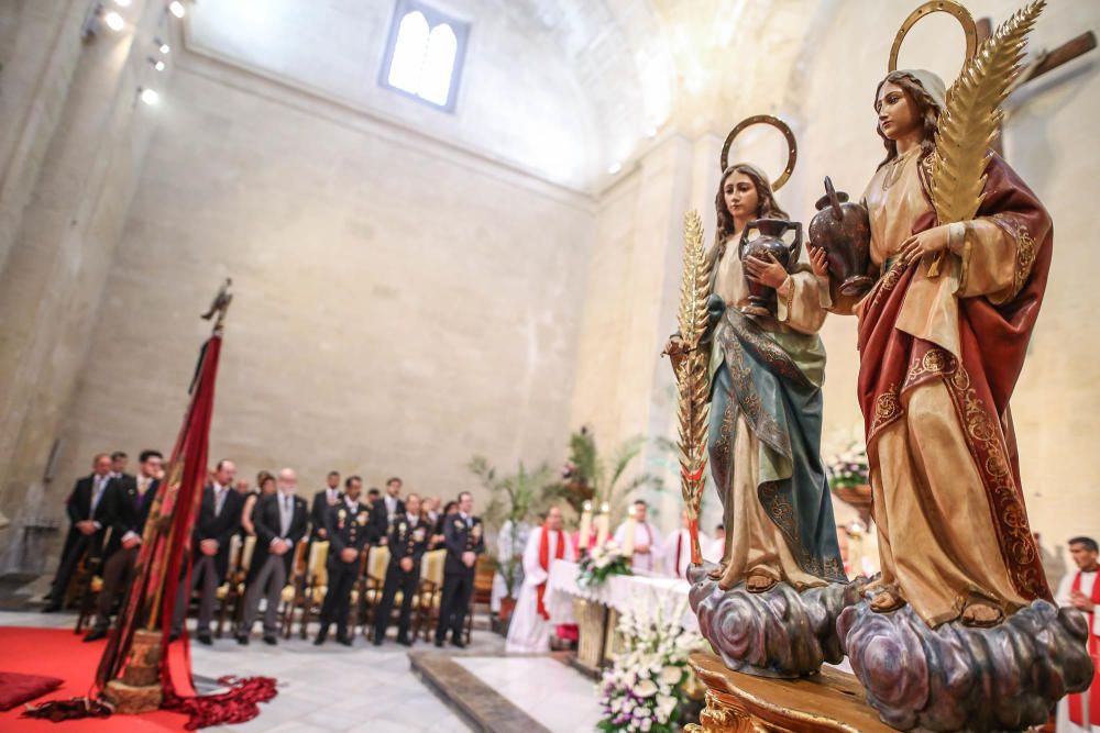 Pájaro Oriol en Orihuela