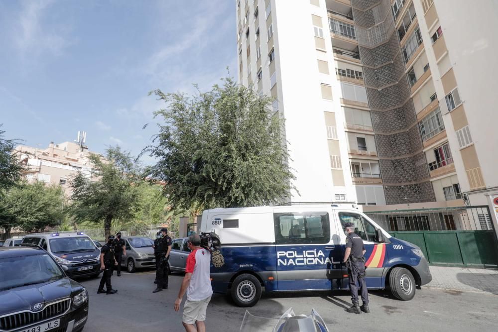 Al menos 34 detenidos en una gran operación policial contra una red de carteristas en Palma