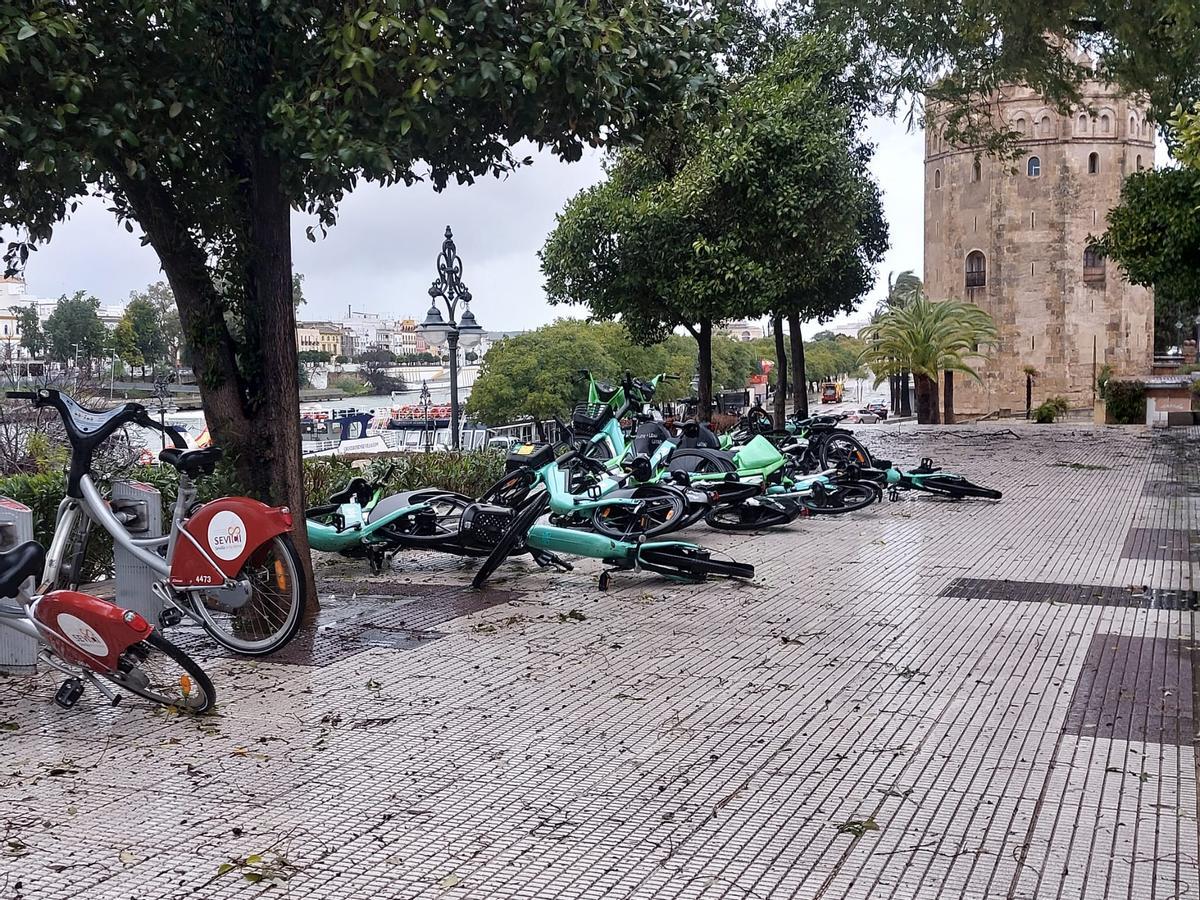 Bicis tiradas por el viento junto  la Torre del Oro.