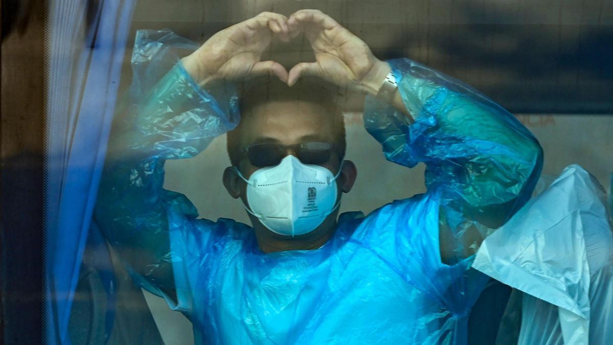 España recibirá favipiravir, un antiviral experimental japonés contra el hantavirus