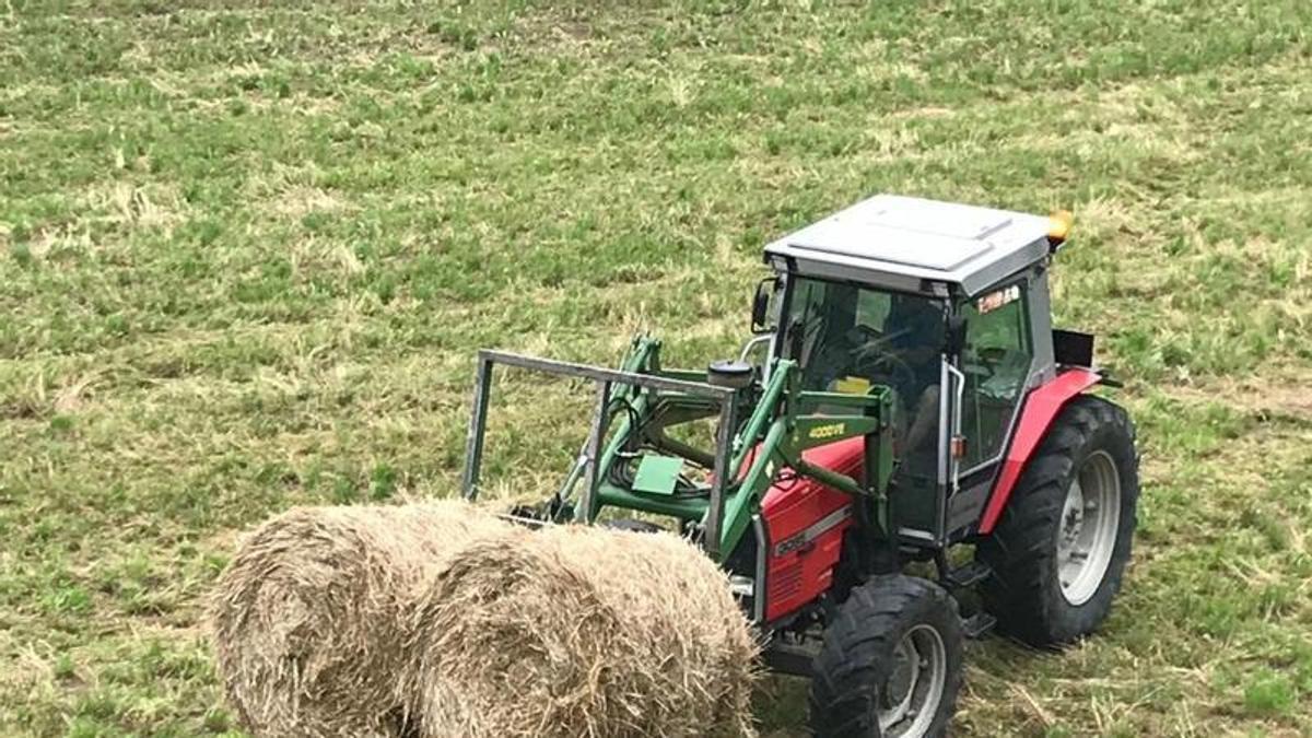 Un tractor desaplaza dos pacas de paja.