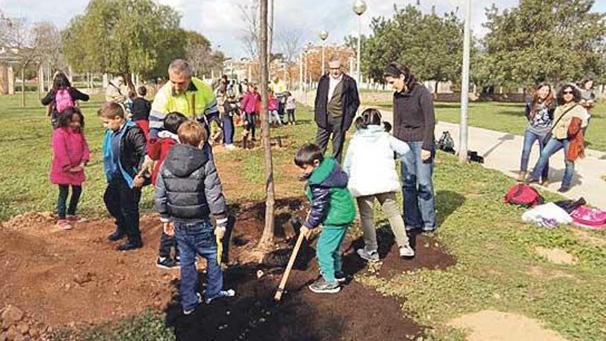 Los niños plantan seis melias en la Vileta