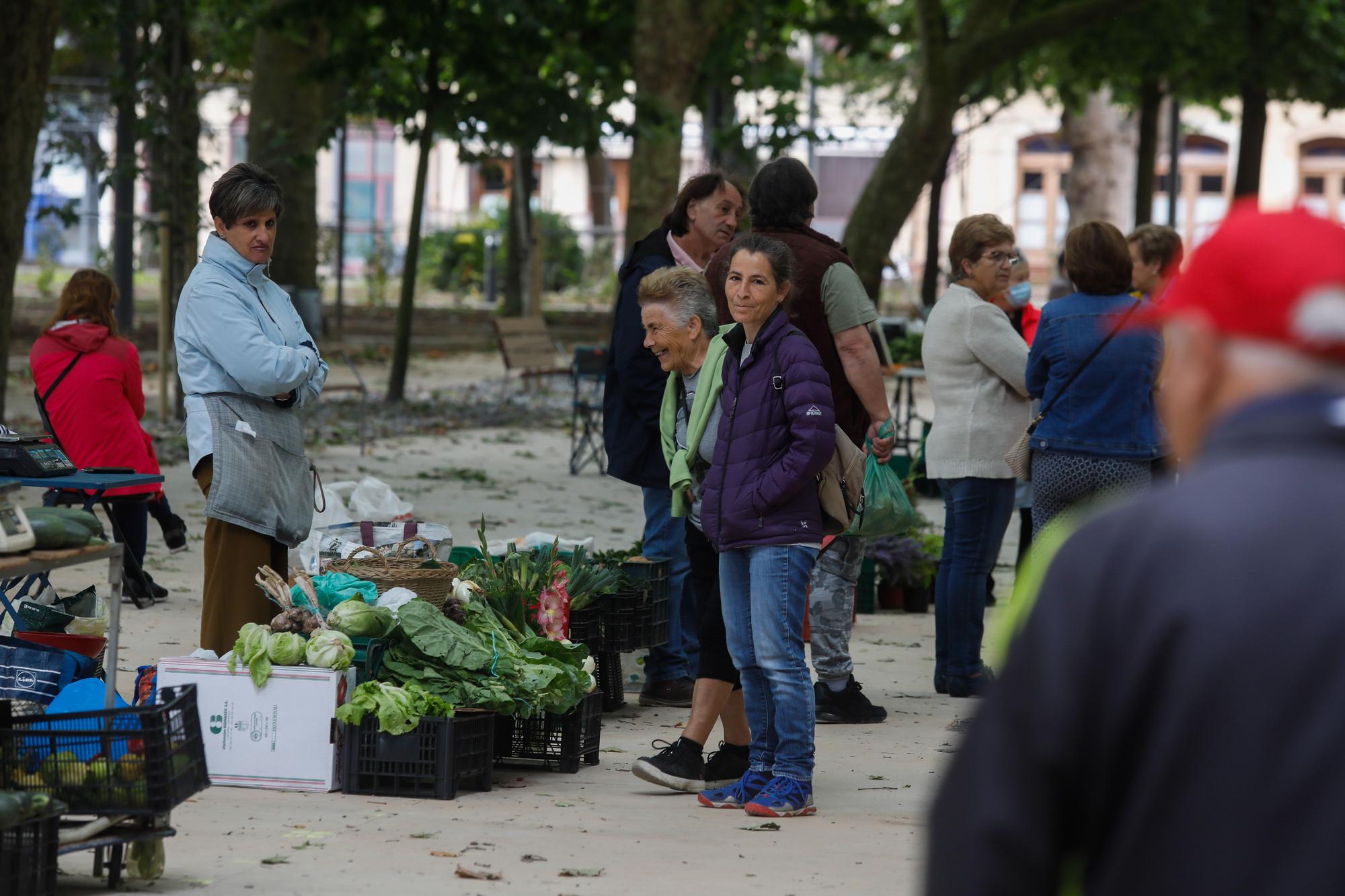 EN IMÁGENES: Los ambulantes tras la mudanza al Muelle