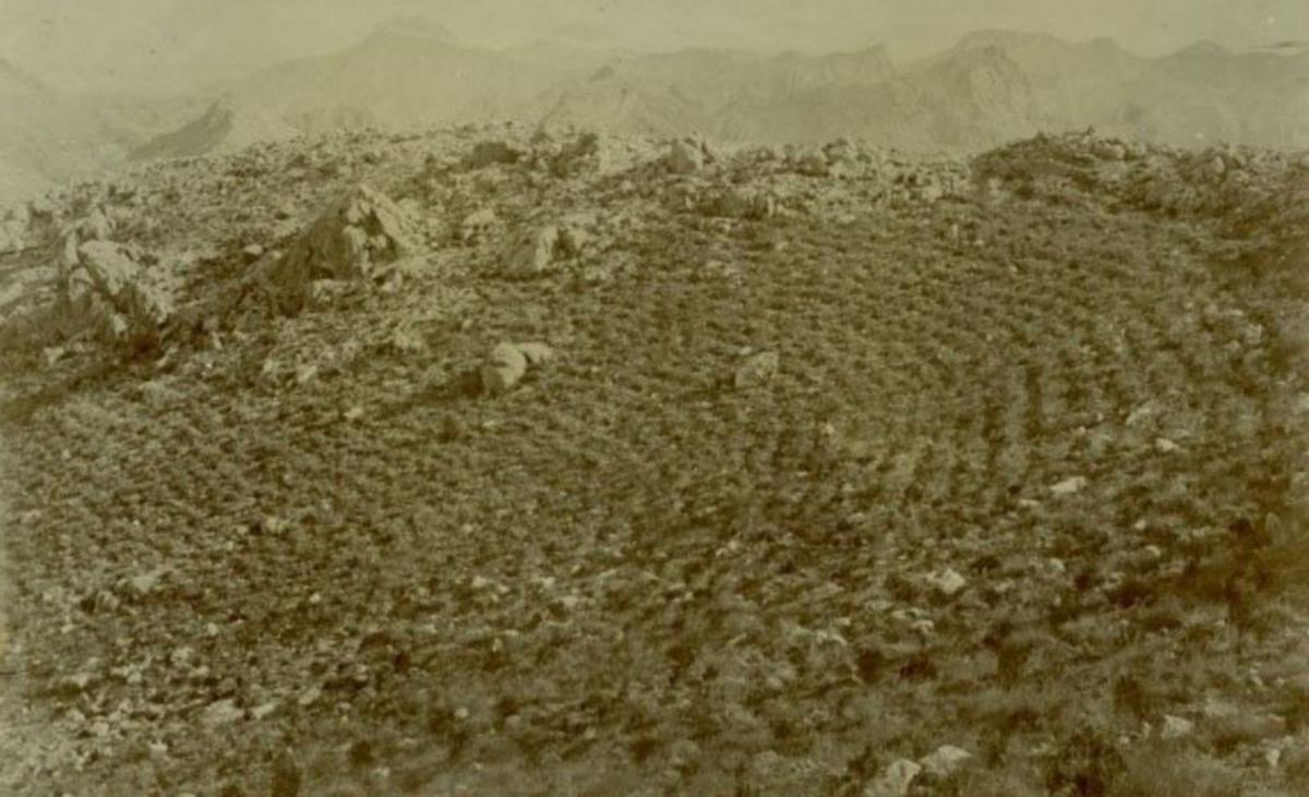 Barranco del Cojo (1905). |  | L. O.