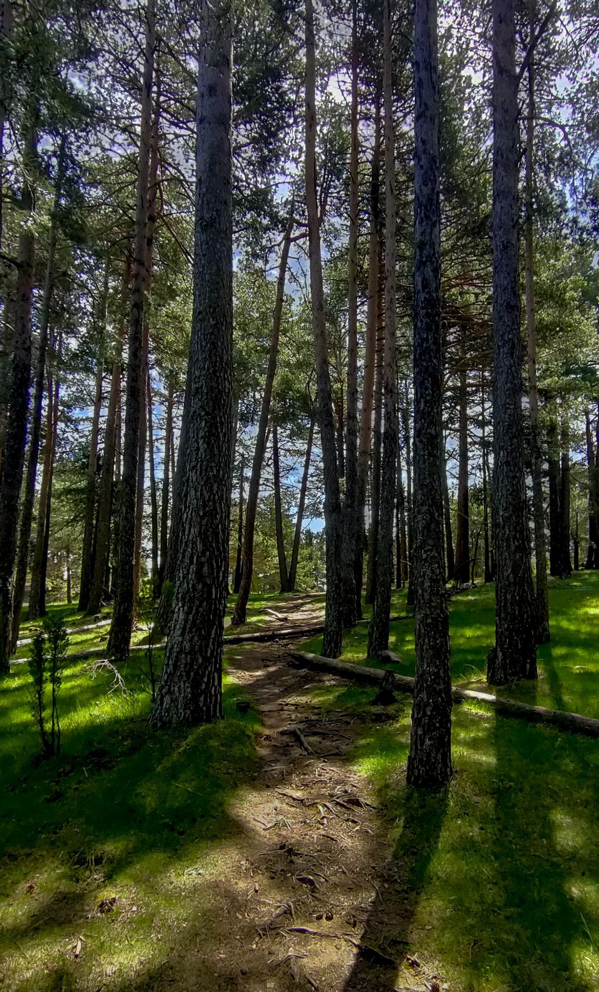 Subida al Penyagolosa: inmenso y colosal