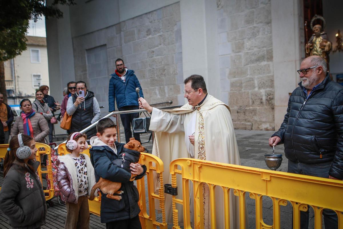 Las mejores imágenes de la bendición de animales de San Antón en Amoradí 2026 están aquí