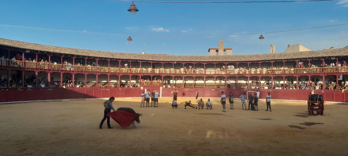 GALERÍA | La Fuente de Vino en la plaza de toros de Toro, en imágenes