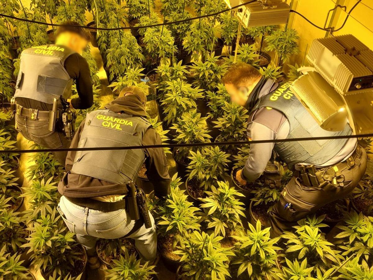 En el registro de la nave se intervinieron 12,7 kilos de marihuana.