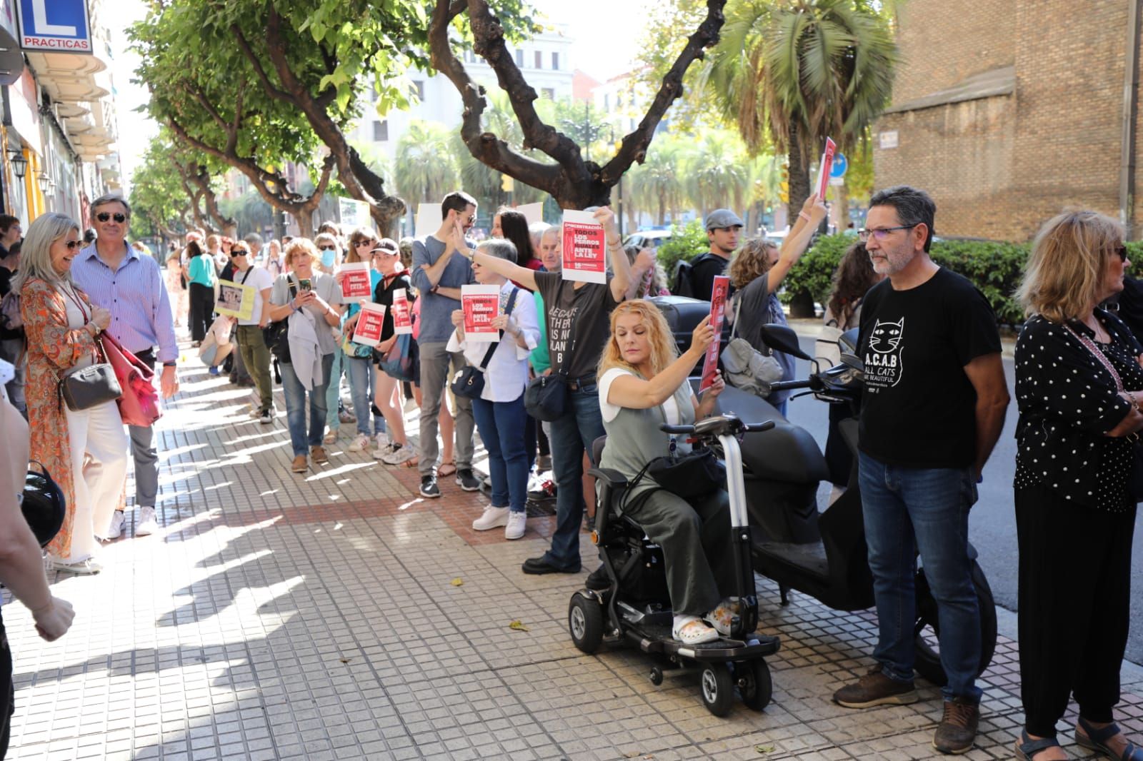 Protesta animalista ante la sede del PSOE en Zaragoza