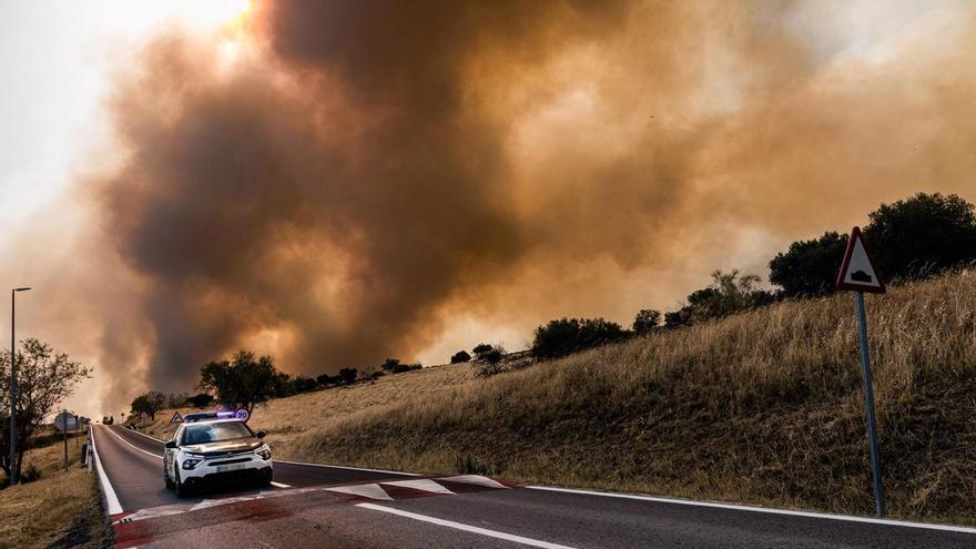 DIRECTO | Señal en directo del incendio de San Martín de ValdeIglesias, Madrid