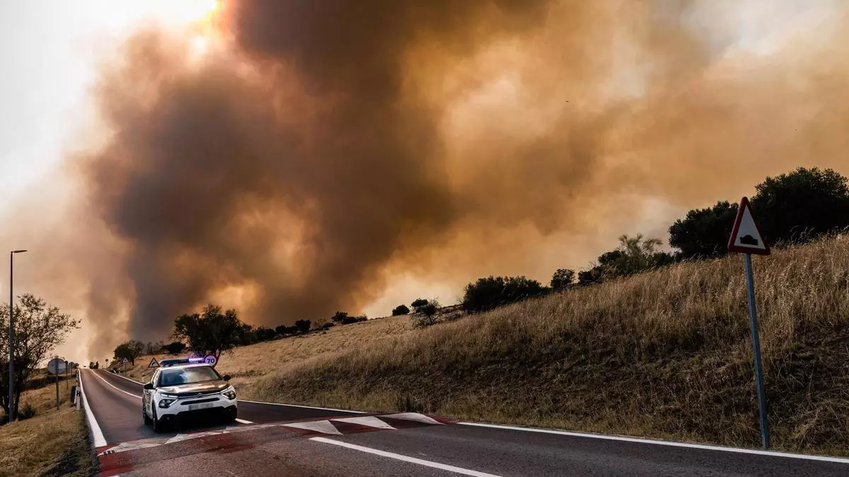 DIRECTO | Señal en directo del incendio de San Martín de ValdeIglesias, Madrid