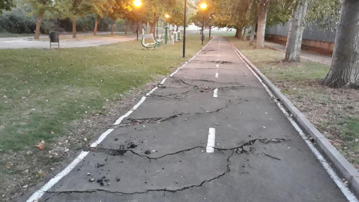 Carril bici