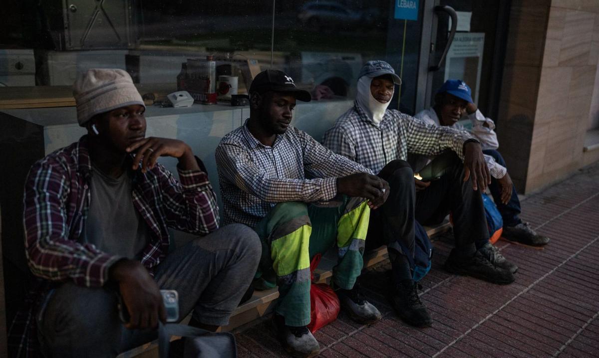 Alcarràs només vol els migrantsa l’estiu perquè cullin la fruita