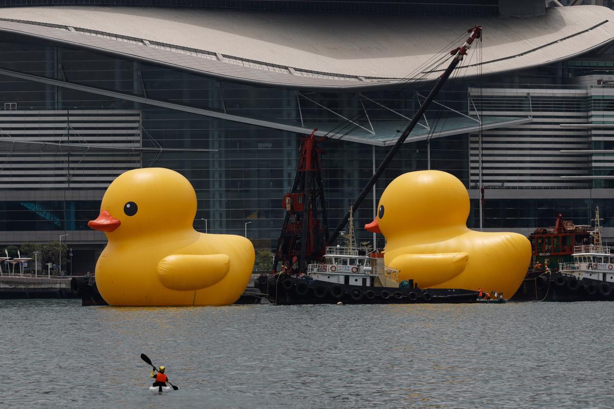 Los patos de goma del artista Florentijn Hofman, en el puerto de Hong Kong