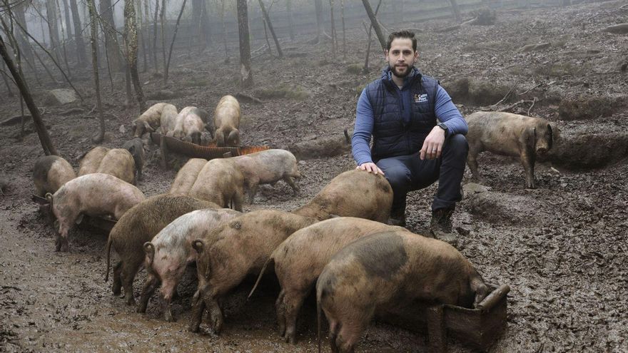 “Comencé con dos cerdos para que me limpiasen el monte”