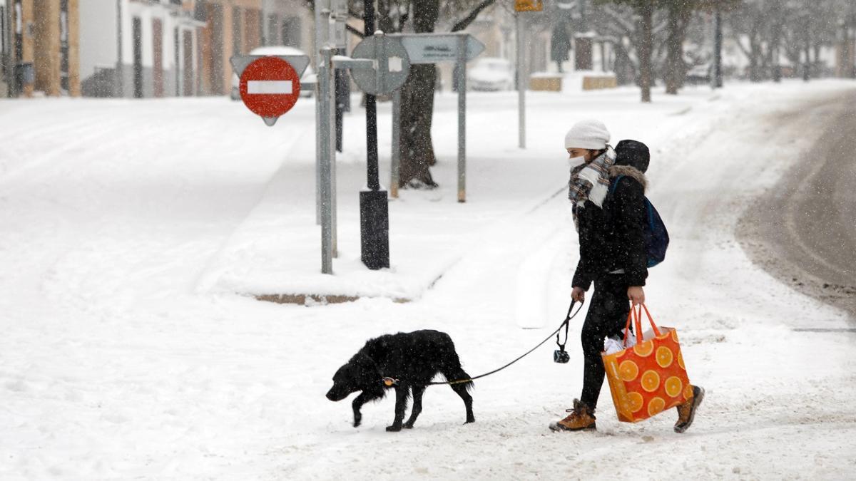 Una mujer y su perro pasean bajo la nevada en Vilafranca.