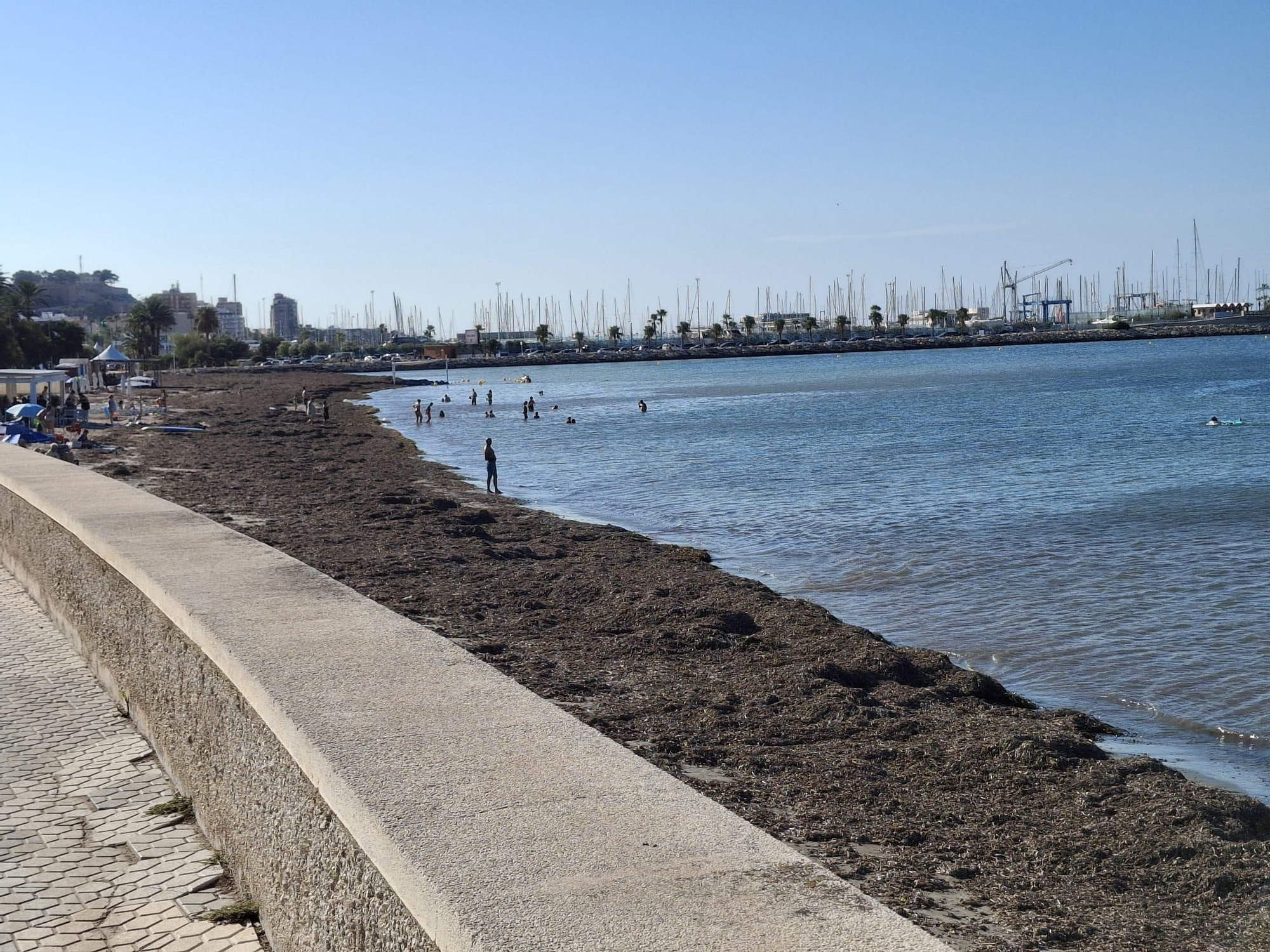 ¡Esto es vida!: manto de posidonia, aguas cristalinas y paz absoluta en la Marineta Cassiana de Dénia