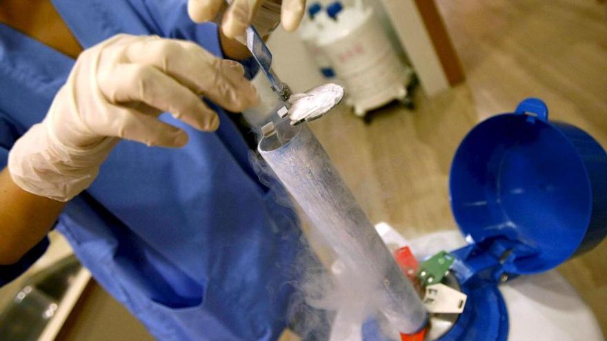 Una profesional extrae las muestras preservadas en una clínica de reproducción.
