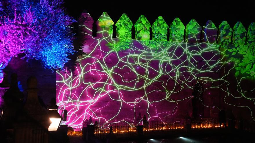 Raíces en el Jardín, el espectáculo nocturno del Alcázar de Córdoba