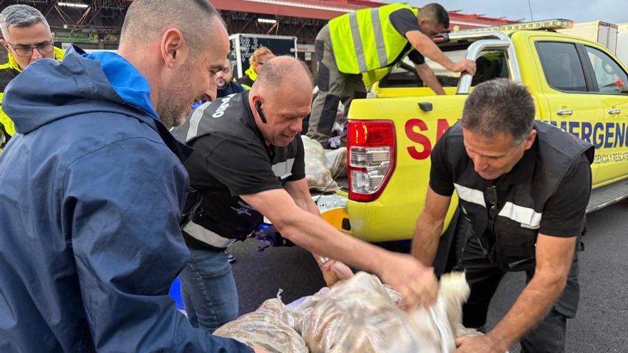 Canary Islands Telethon Aids 40,000 Amidst Storm