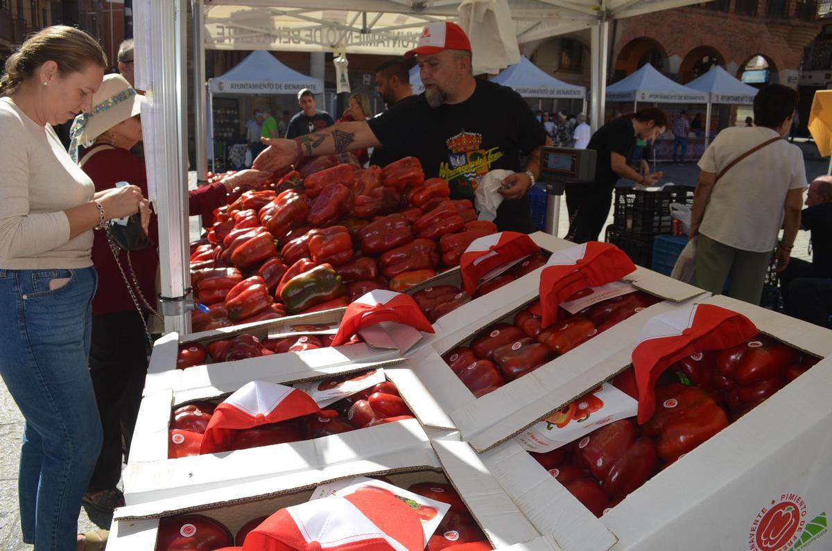 La Feria del Pimiento de Benavente 2026, en imágenes La Feria del Pimiento de Benavente 2026, en imágenes